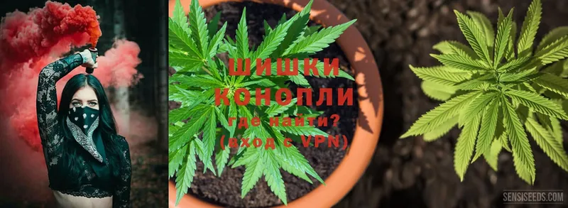 Бошки Шишки THC 21%  Ельня 